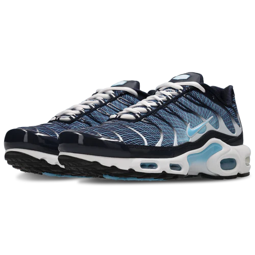 Air Max Tuned 1 Bleu