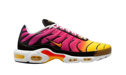 Air Max Plus Rainbow