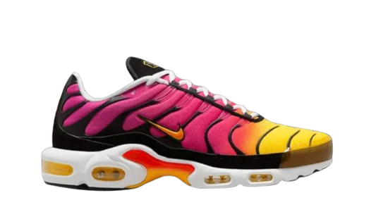 Air Max Plus Rainbow