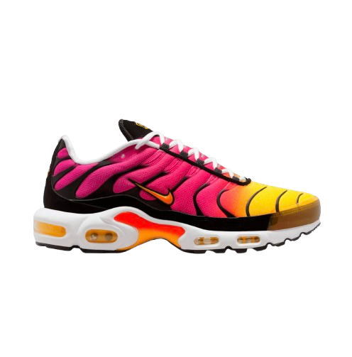 Air Max Plus Rainbow