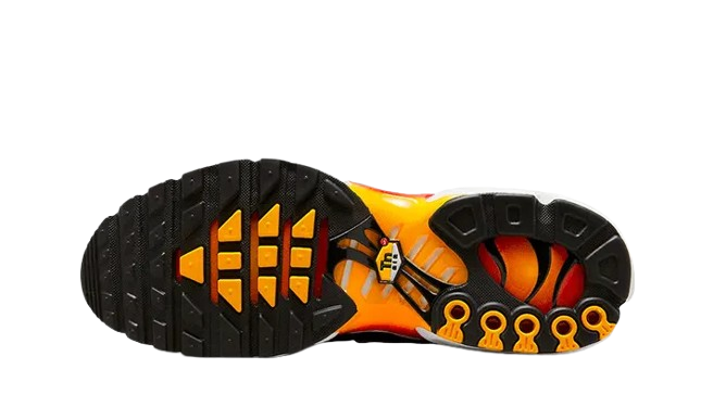 Air Max Plus Rainbow