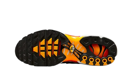 Air Max Plus Rainbow
